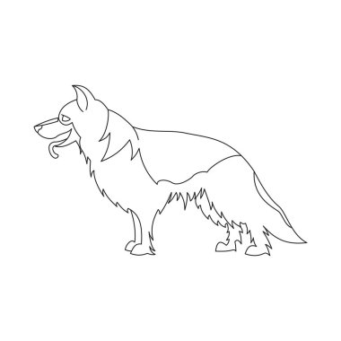 Alman çoban doğurmak