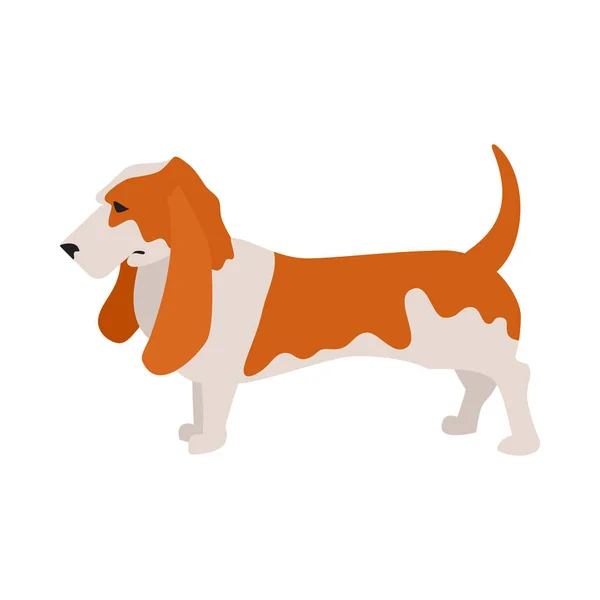 Basset-Hund — Stockvektor