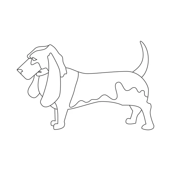 Basset hound linear style — Stock Vector