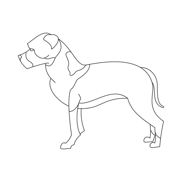 American staffordshire terrier — Vector de stock