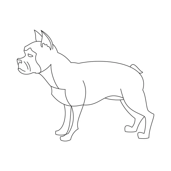 Französische Bulldogge linear — Stockvektor