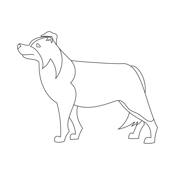 Línea de borde collie plana — Vector de stock