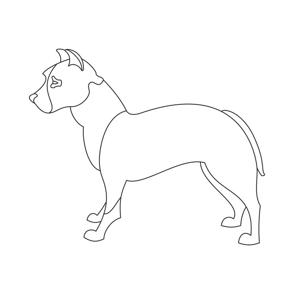 Amerikanischer Pitt Bullterrier — Stockvektor