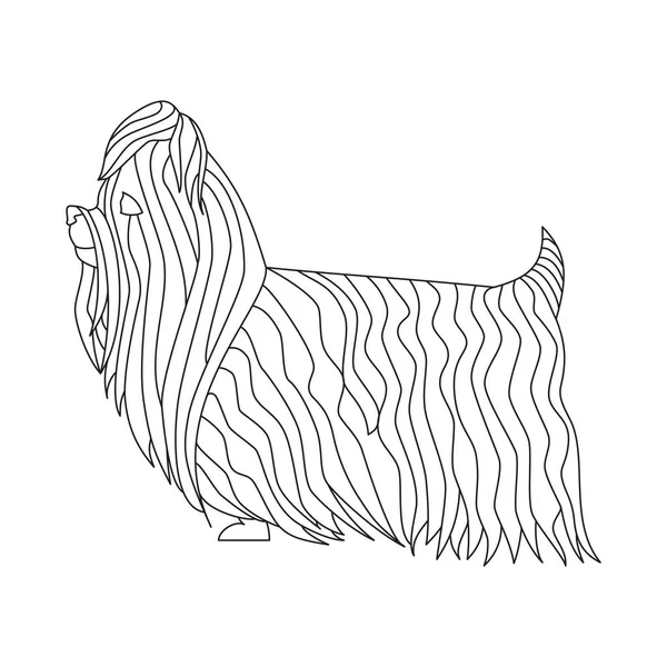 Yorkshire teriér pes — Stockový vektor