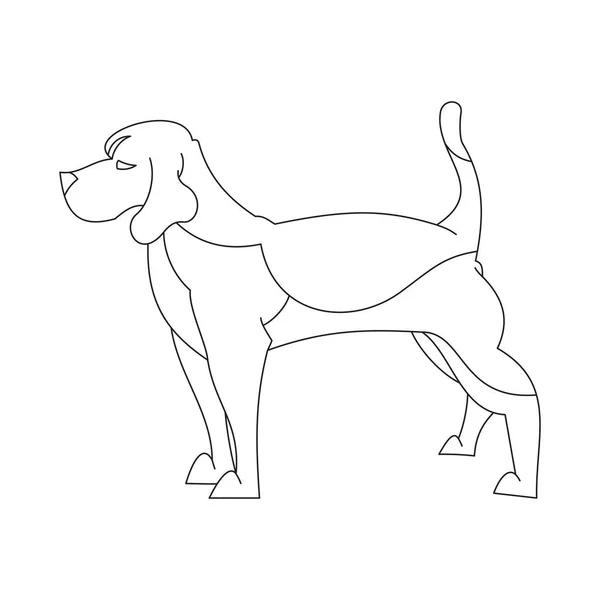 Pes Beagle v řádku — Stockový vektor