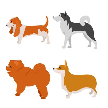 Köpekler alaskan malamute ve levrek