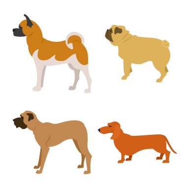 Safkan köpekler beyaz arka plan üzerinde izole kümesi