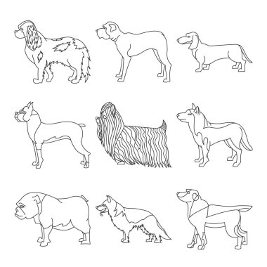 Doğurmak köpek doğrultusunda topluluğu