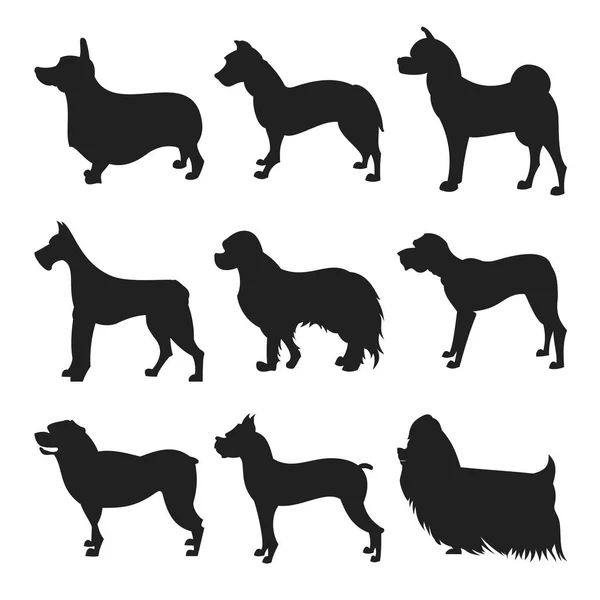 Conjunto de silueta de perros — Vector de stock