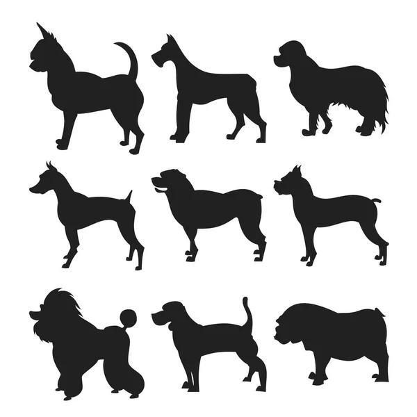 Colección de silueta de perros — Vector de stock