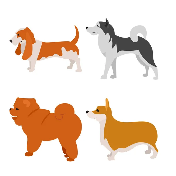 Köpekler alaskan malamute ve levrek