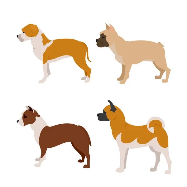 Collection of purebred dogs — Stock Vector