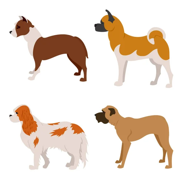 Colección de perros de raza pura aislados en blanco — Vector de stock