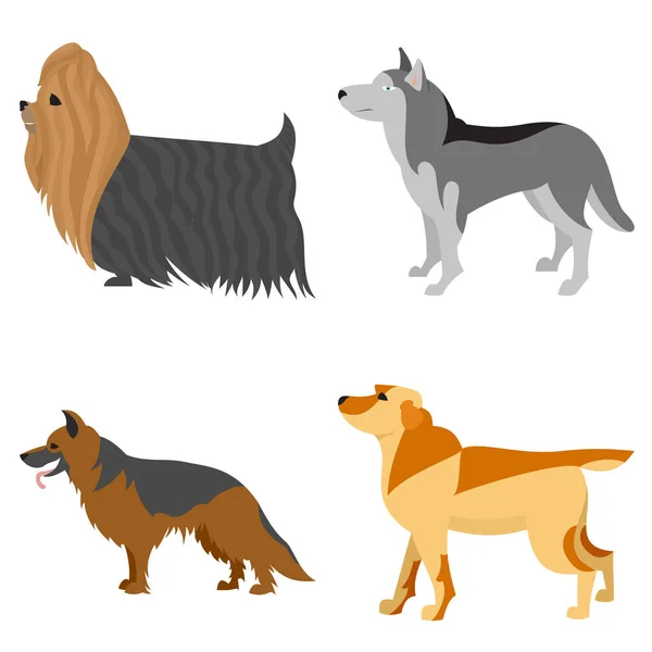 Samling av renrasiga hundar — Stock vektor