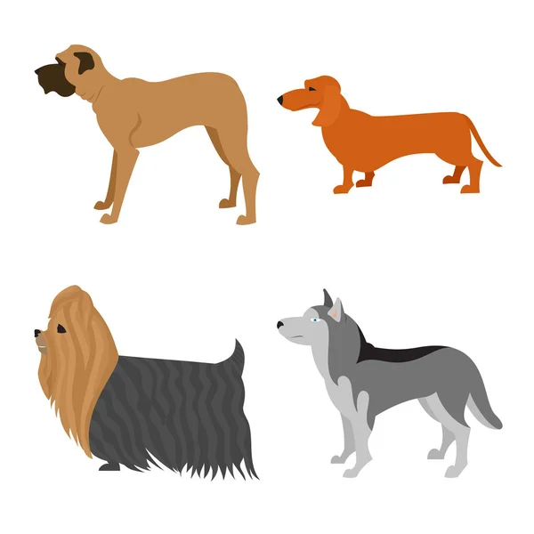 Perros set plano — Vector de stock