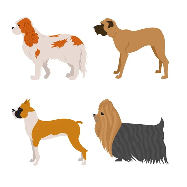 Conjunto de perros de raza pura — Vector de stock