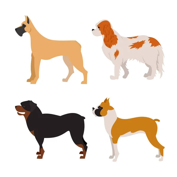 Perros set plano — Vector de stock