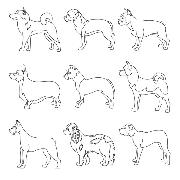 Set de perros de pura raza en estilo lineal — Vector de stock