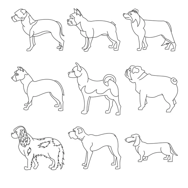 Colección de razas perro en línea — Vector de stock