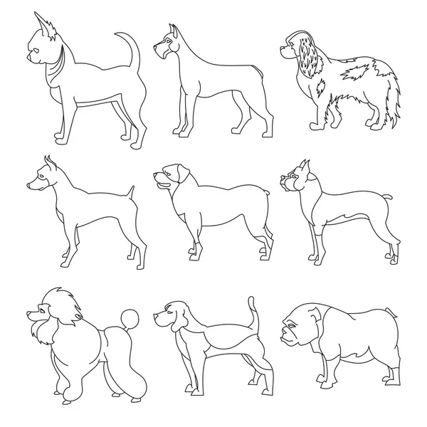 Conjunto de cães de raça pura em estilo linear — Vetor de Stock