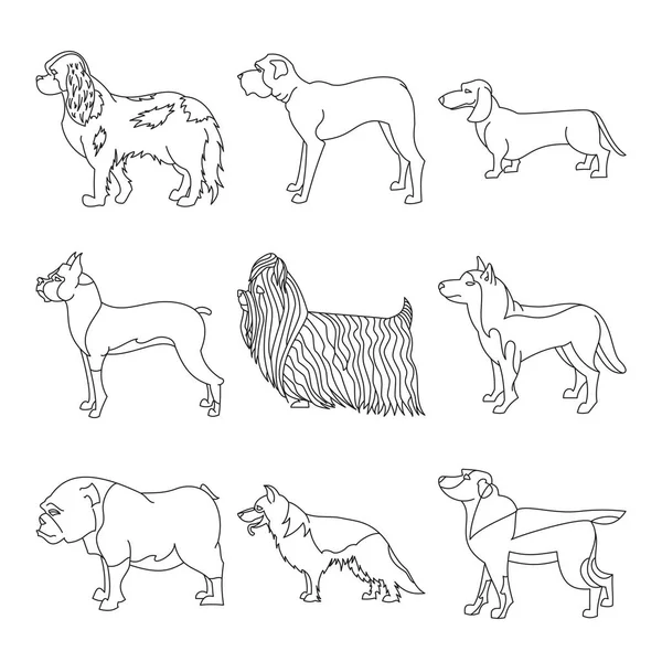 Colección de razas perro en línea — Vector de stock