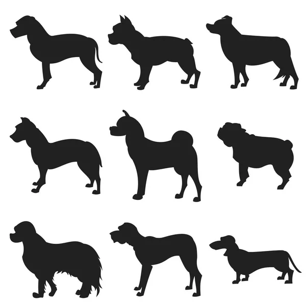 Σύνολο του σκύλοι μαύρη σιλουέτα — Διανυσματικό Αρχείο