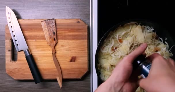 深い鍋にジャガイモと玉ねぎのフライ トップビュー — ストック動画