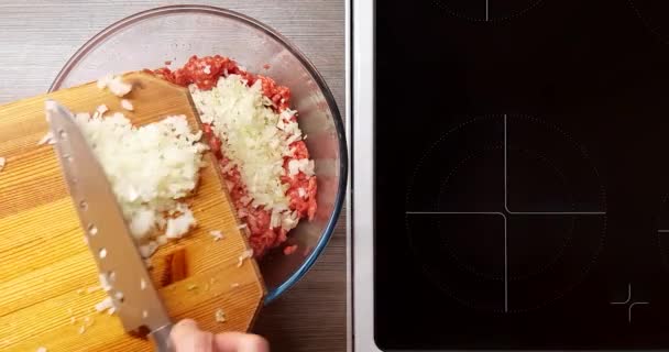 Rohes Hackfleisch Wird Mit Gewürzen Zwiebeln Und Eiern Vermischt Der — Stockvideo