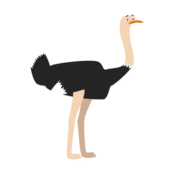 Cute cartoon ostrich vector illustration — Stock Vector