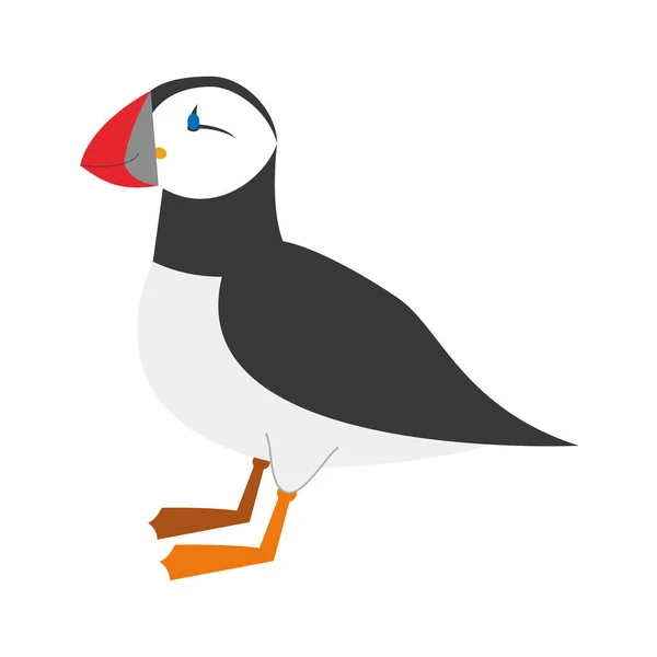 Bonito desenho animado puffin vetor ilustração —  Vetores de Stock