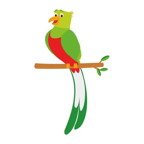 Cute cartoon quetzal vector illustration — Stock Vector