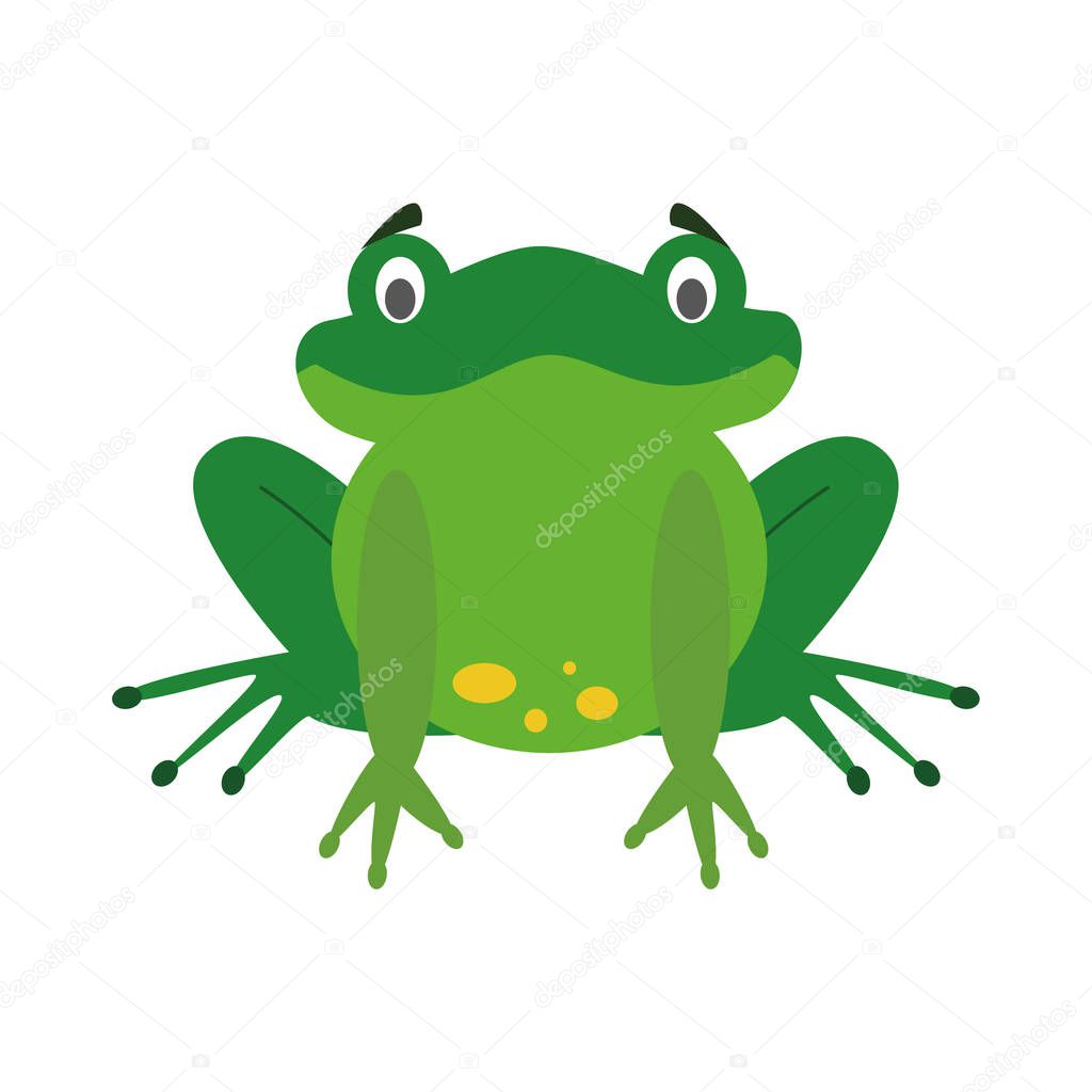 Cute cartoon frog vector illustration