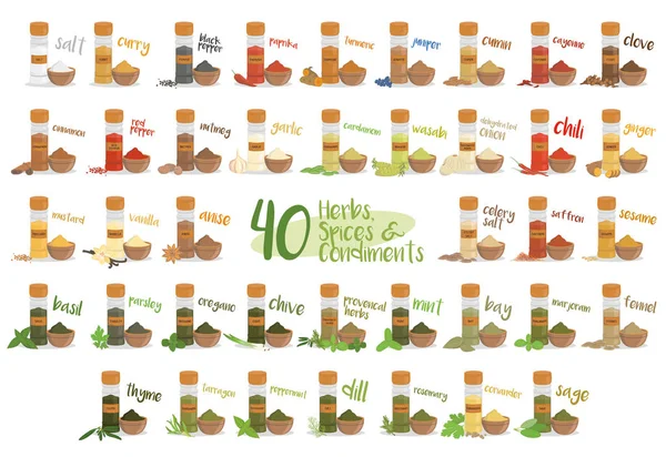 Set of 40 different culinary herbs, species and condiments in cartoon style. — Stock Vector