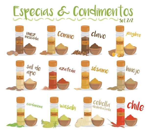 Set of 12 different culinary species and condiments in cartoon style. Set 2 of 2. Spanish names. — Stock Vector