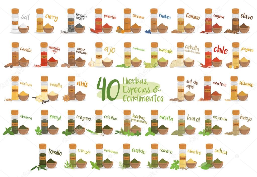 Set of 40 different culinary herbs, species and condiments in cartoon style. Spanish names.