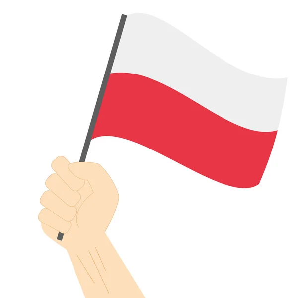 Sostener y izar la bandera nacional de Polonia — Vector de stock