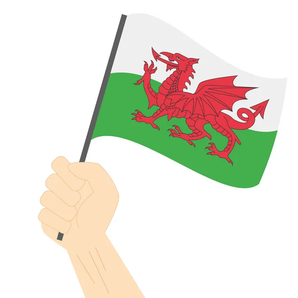 手里拿的升国旗的威尔士 — 图库矢量图片
