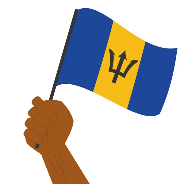 Hand holding en verhoging van de nationale vlag van Barbados — Stockvector