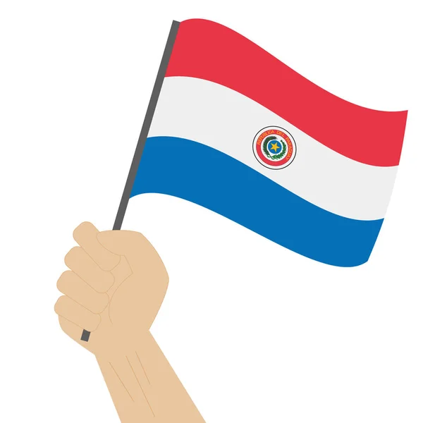 Hand halten und die Nationalflagge Paraguays hissen — Stockvektor