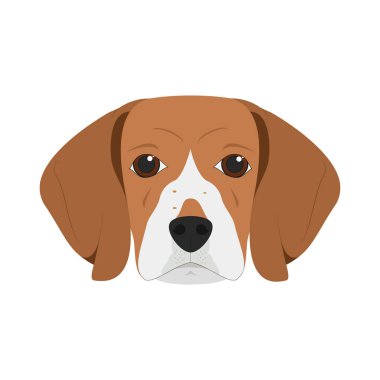 Beyaz arka plan vektör illüstrasyon izole beagle köpek