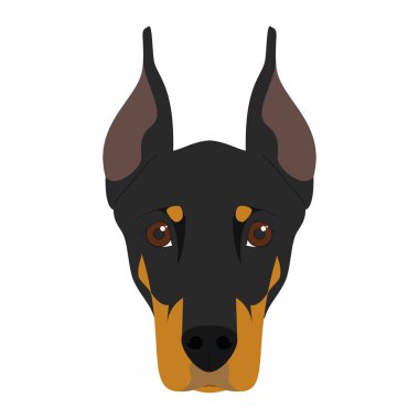 Beyaz arka plan vektör illüstrasyon izole Doberman köpek