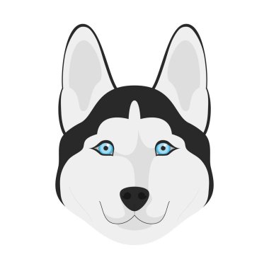 Beyaz arka plan vektör illüstrasyon izole Sibirya Husky köpek