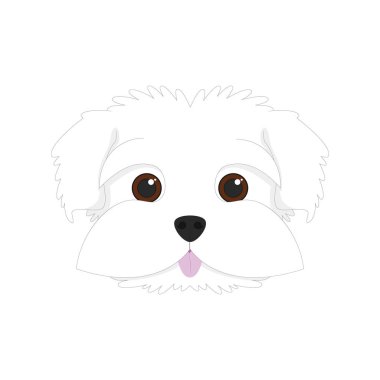 Beyaz arka plan vektör illüstrasyon izole Malta köpeği
