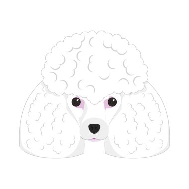 Beyaz arka plan vektör illüstrasyon izole kaniş köpek