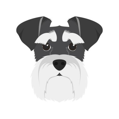 Beyaz arka plan vektör illüstrasyon izole schnauzer köpek