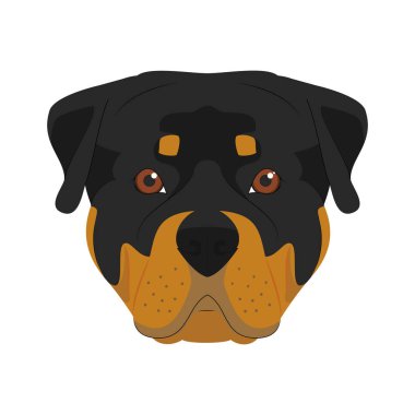 Beyaz arka plan vektör illüstrasyon izole rottweiler köpek