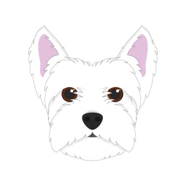 Beyaz arka plan vektör illüstrasyon izole batı dağlık beyaz korkunç köpek