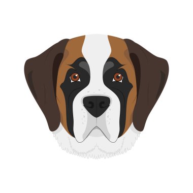 Saint Bernard köpeği beyaz arka plan vektör illüstrasyon izole