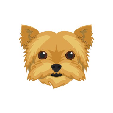 Beyaz arka plan vektör illüstrasyon izole Yorkshire Terrier köpek