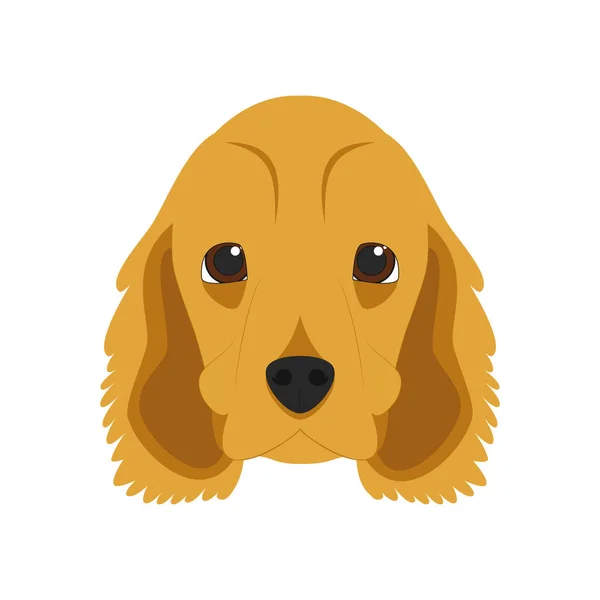 Inglés Cocker Spaniel perro aislado sobre fondo blanco vector ilustración — Vector de stock